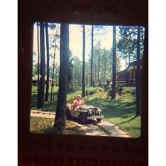 Vintage Family Vacation Slides 31 From 1973-1975 Christmas Lion Country Beach - Picture 6 of 16